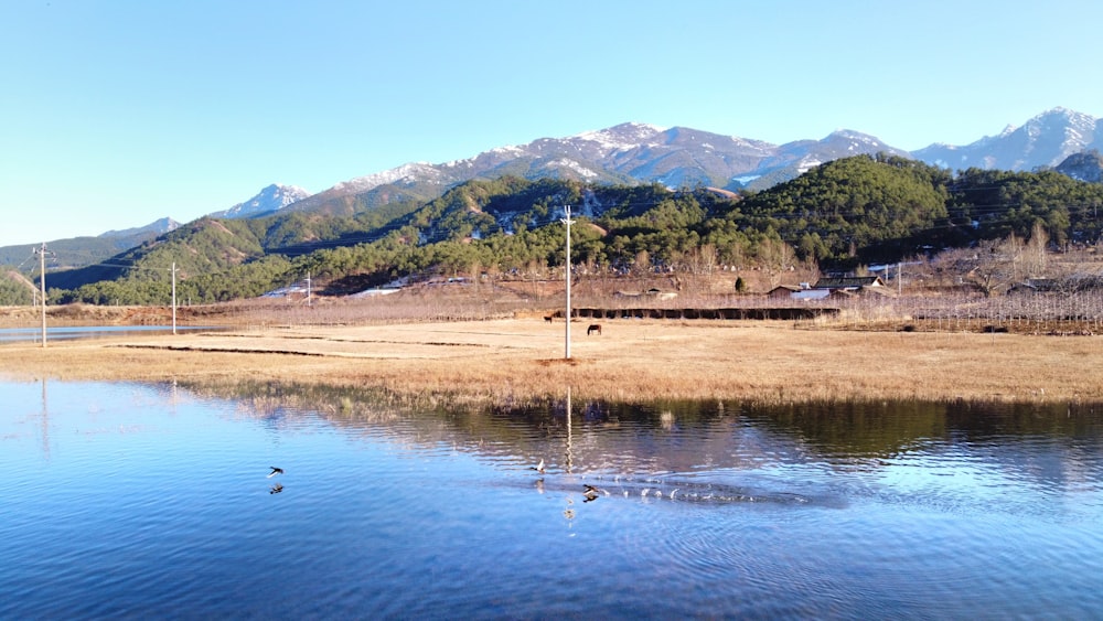 body of water near green mountain under blue sky during daytime