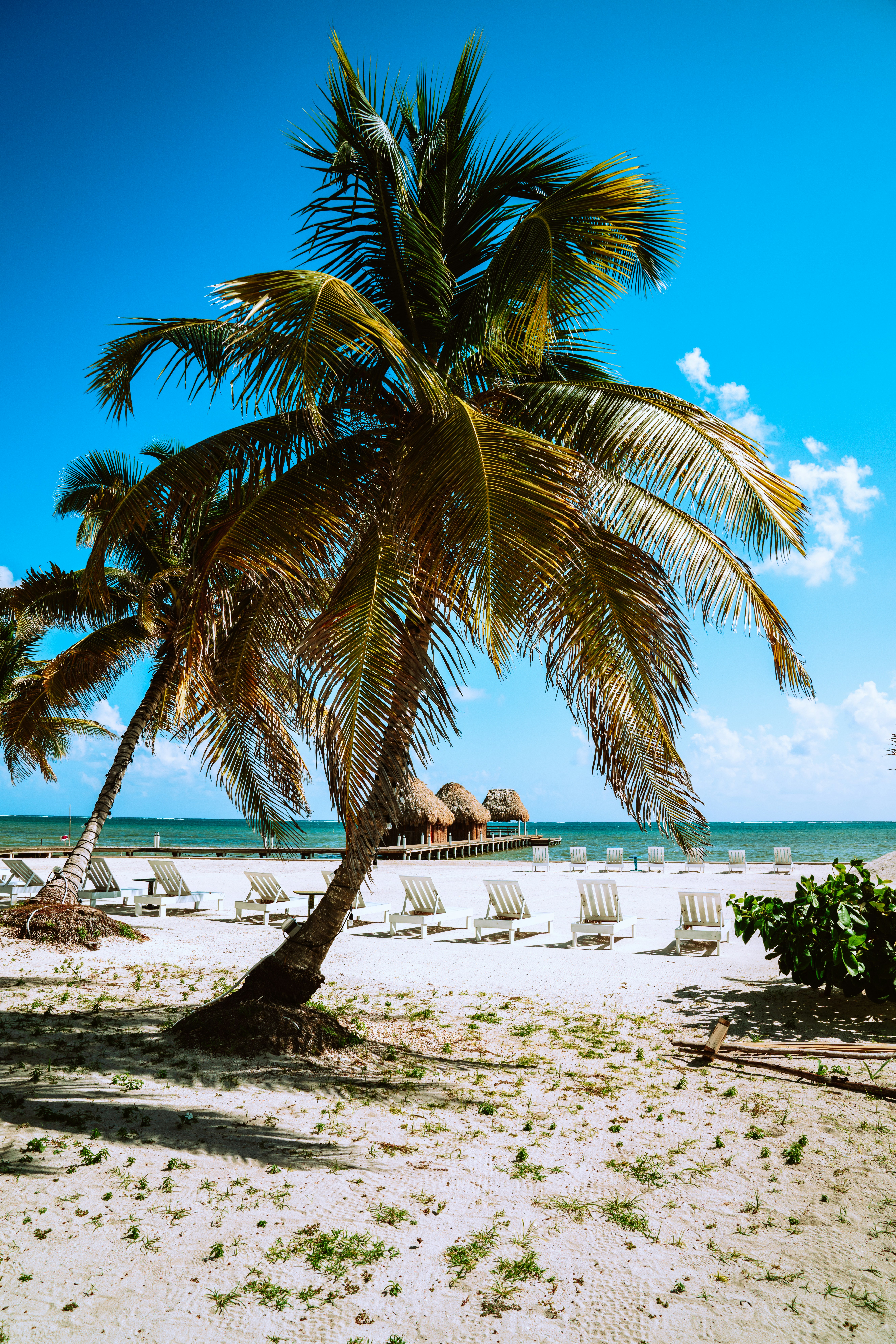 Photo by merittthomas