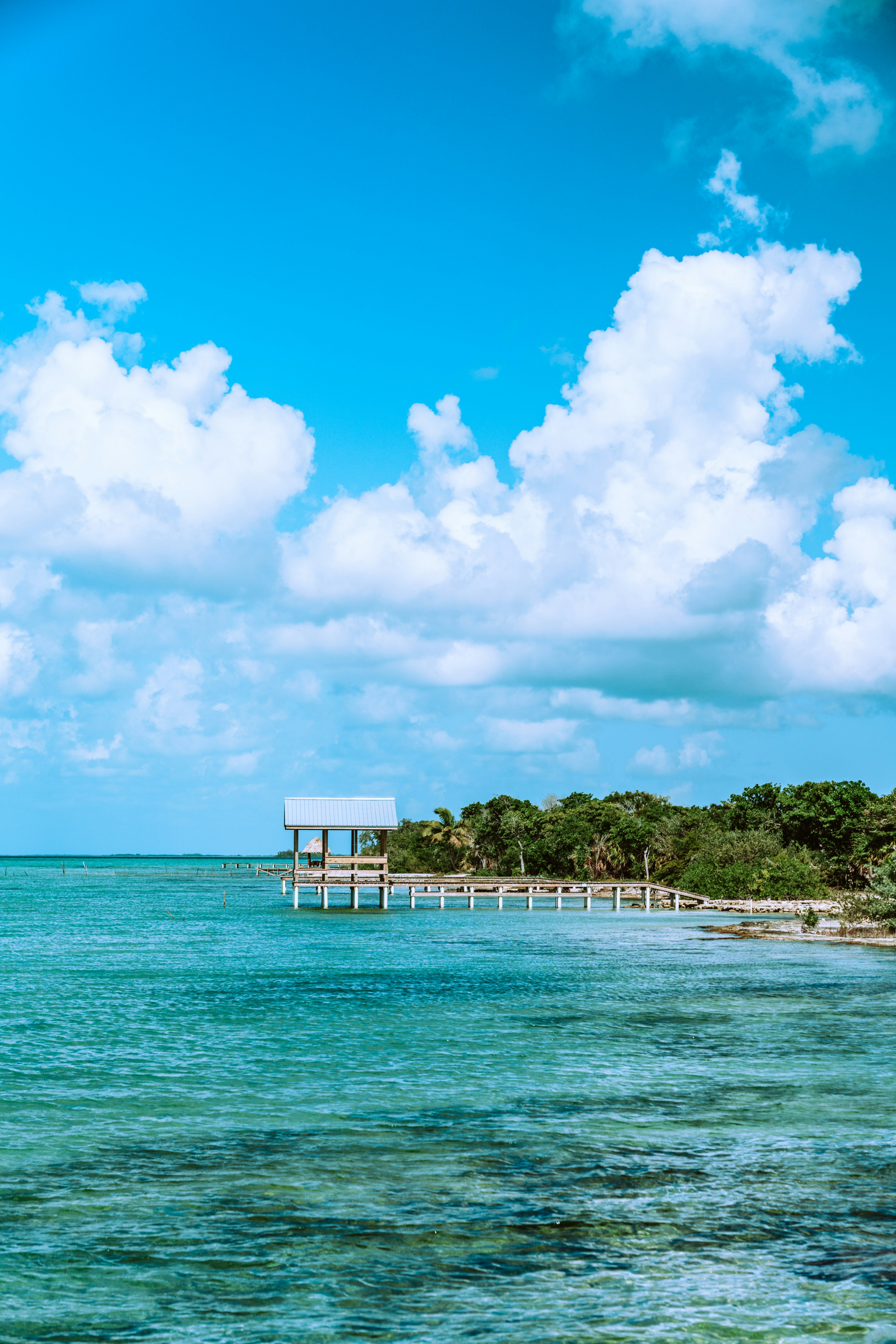 white wooden dock on blue sea under blue and white cloudy sky during daytime
