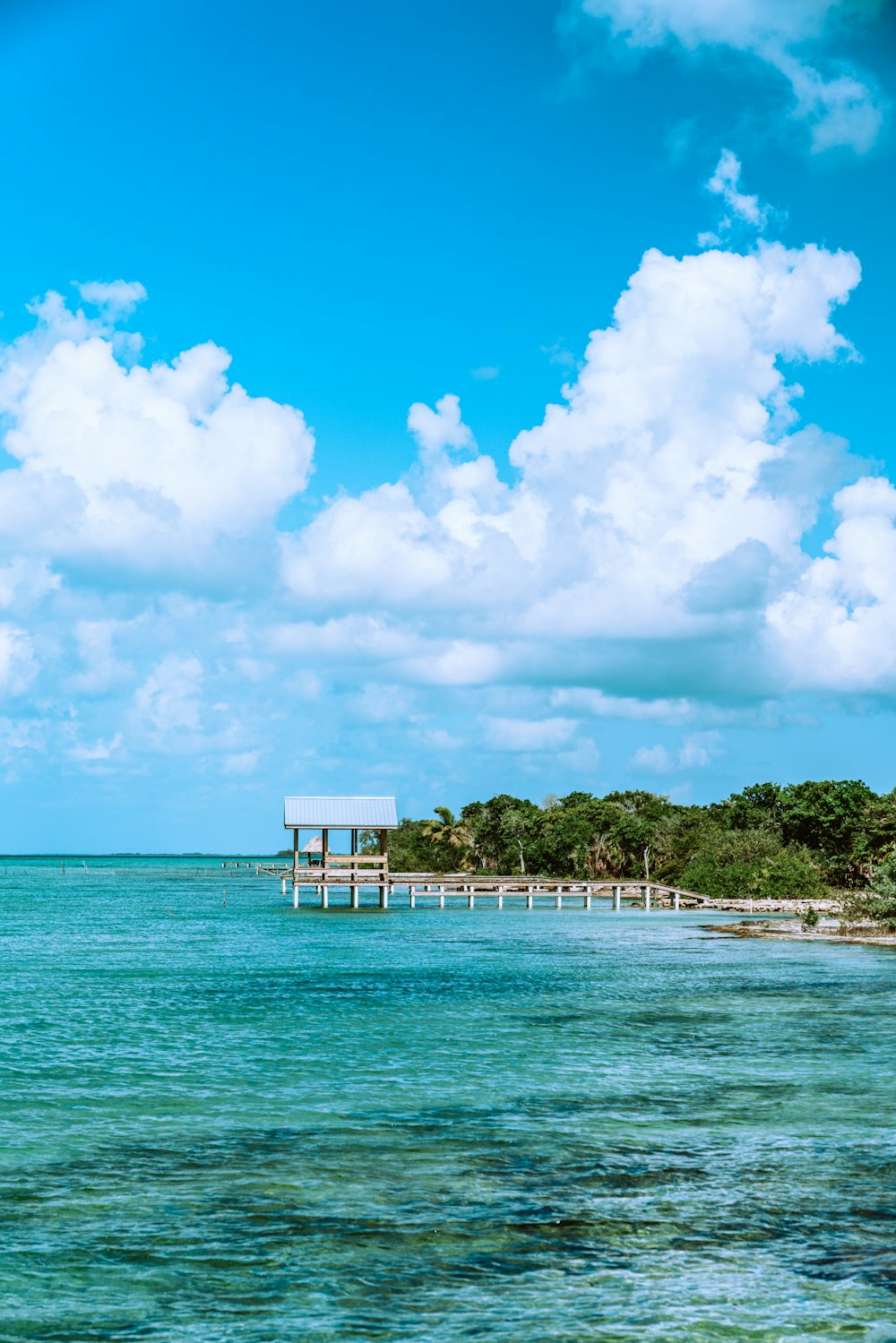 muelle de madera blanca en el mar azul bajo el cielo nublado azul y blanco durante el día