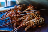 red and black lobster on white table