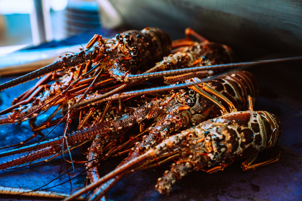 red and black lobster on white table