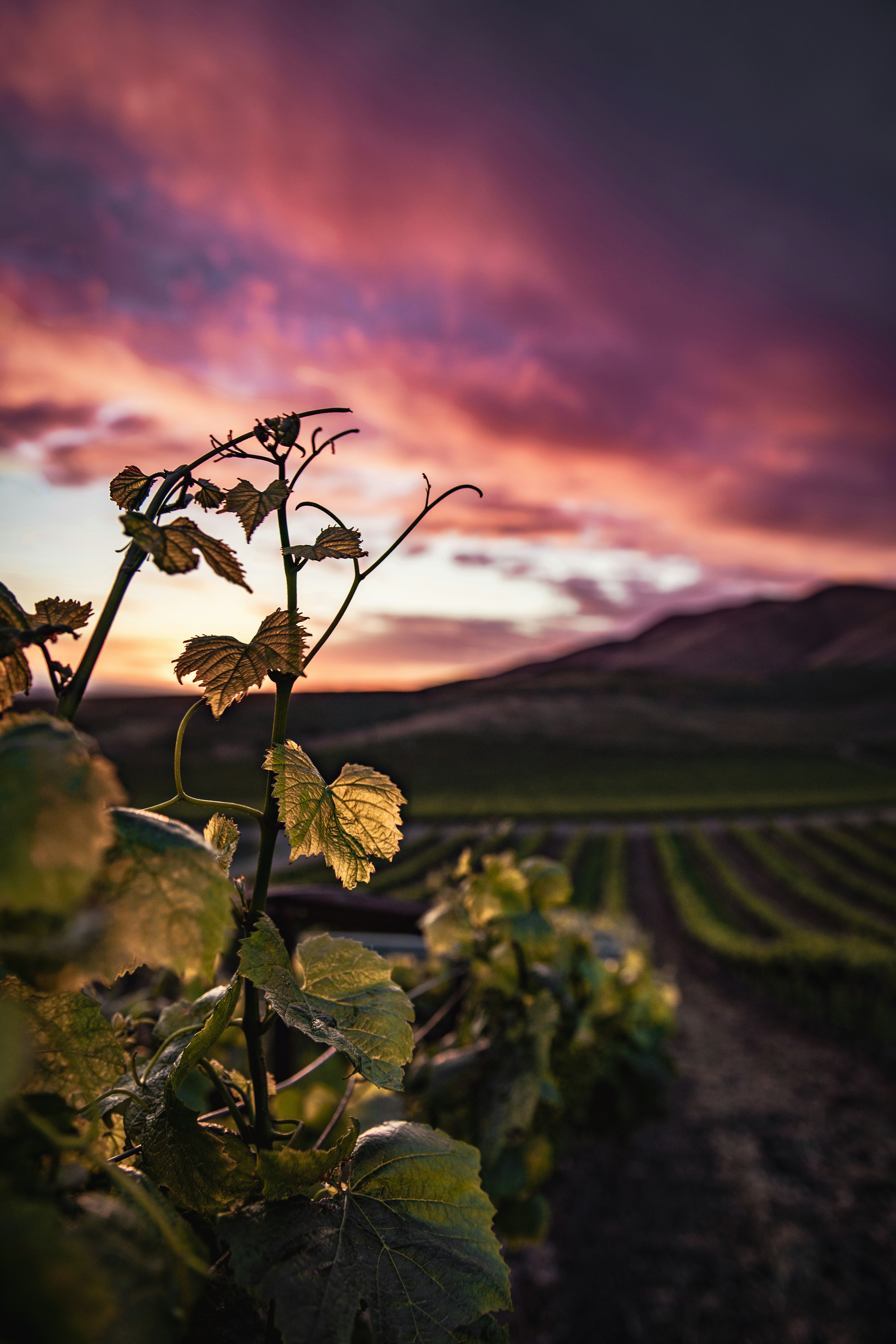 Photo by timmossholder