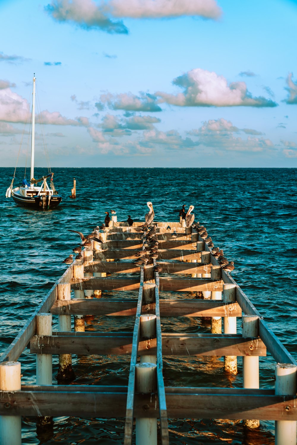 brown wooden dock on sea during daytime