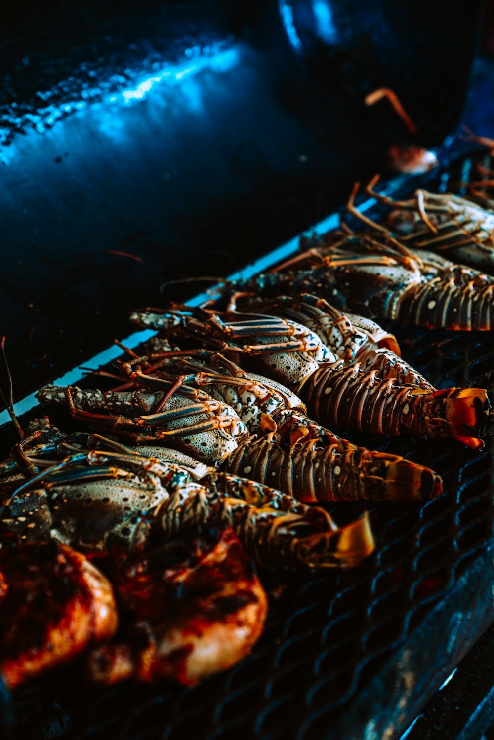 black and red lobster in blue container