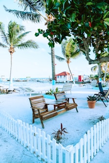 A serene beach setting with palm trees gently swaying in the breeze. A white picket fence surrounds a small area featuring wooden benches and a table. Nearby, there are a few scattered chairs and potted plants on the sand. In the background, a small red-roofed building sits near a pier extending over the water.