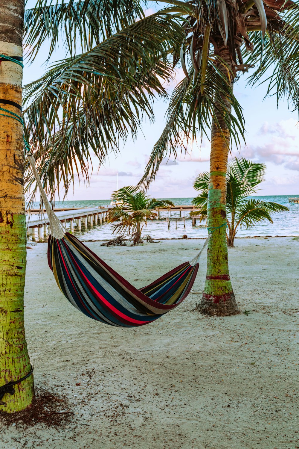 blue red and yellow hammock hanged on palm tree near beach during daytime