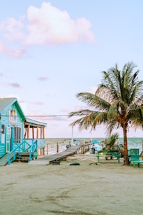 blue wooden house near body of water during daytime