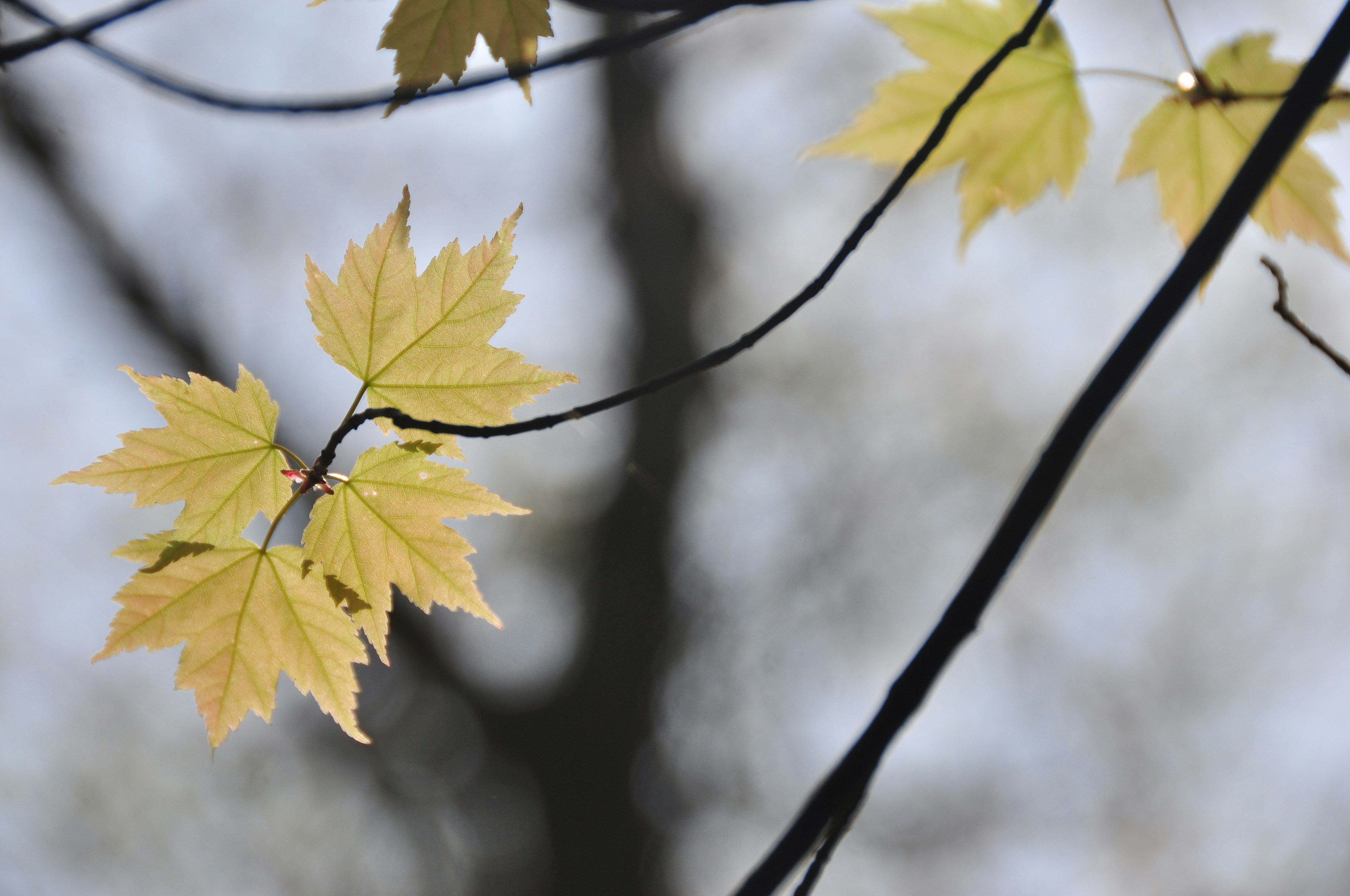 Photo by idonothingbutlove