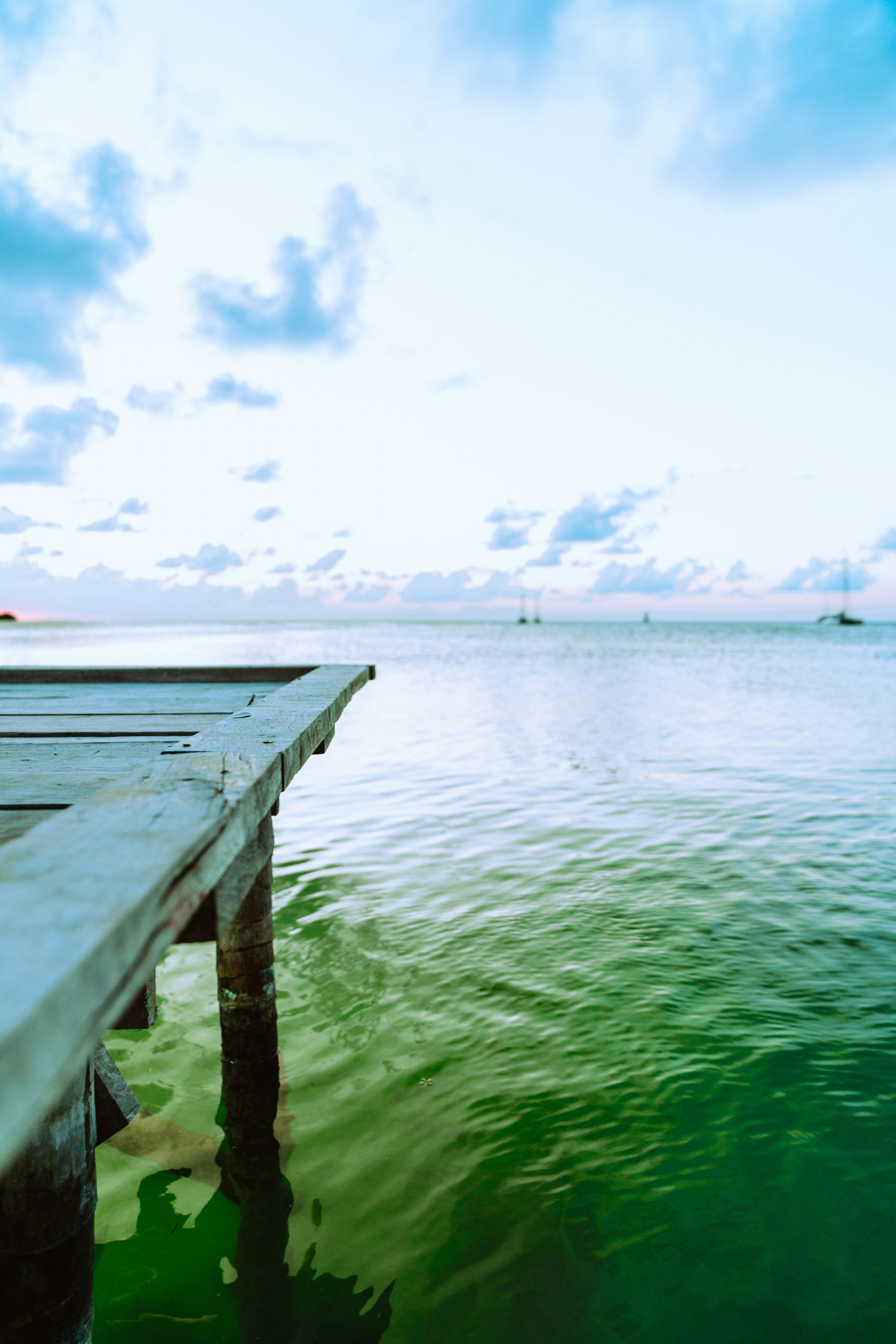 Photo by merittthomas