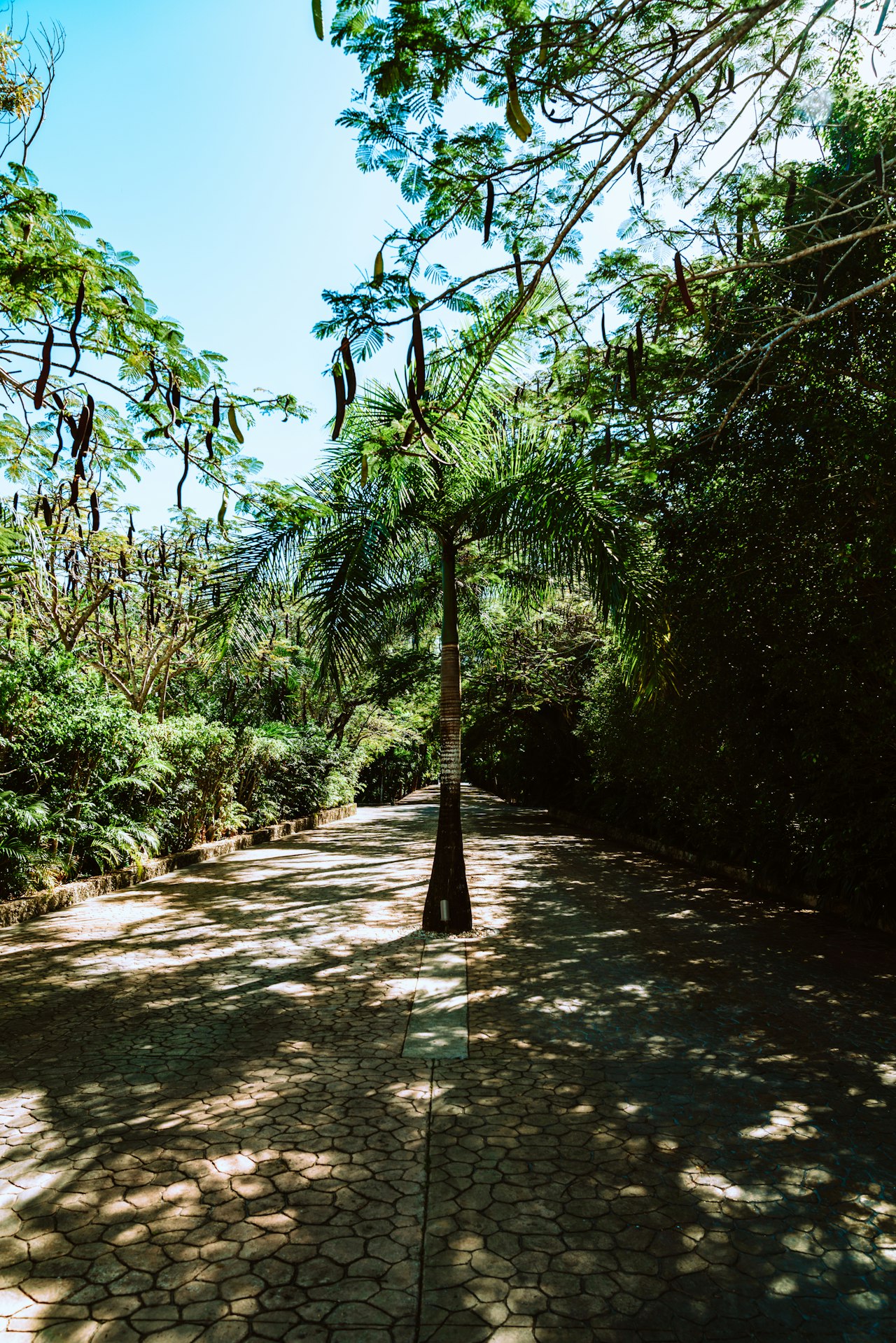 Walking & Biking Trails