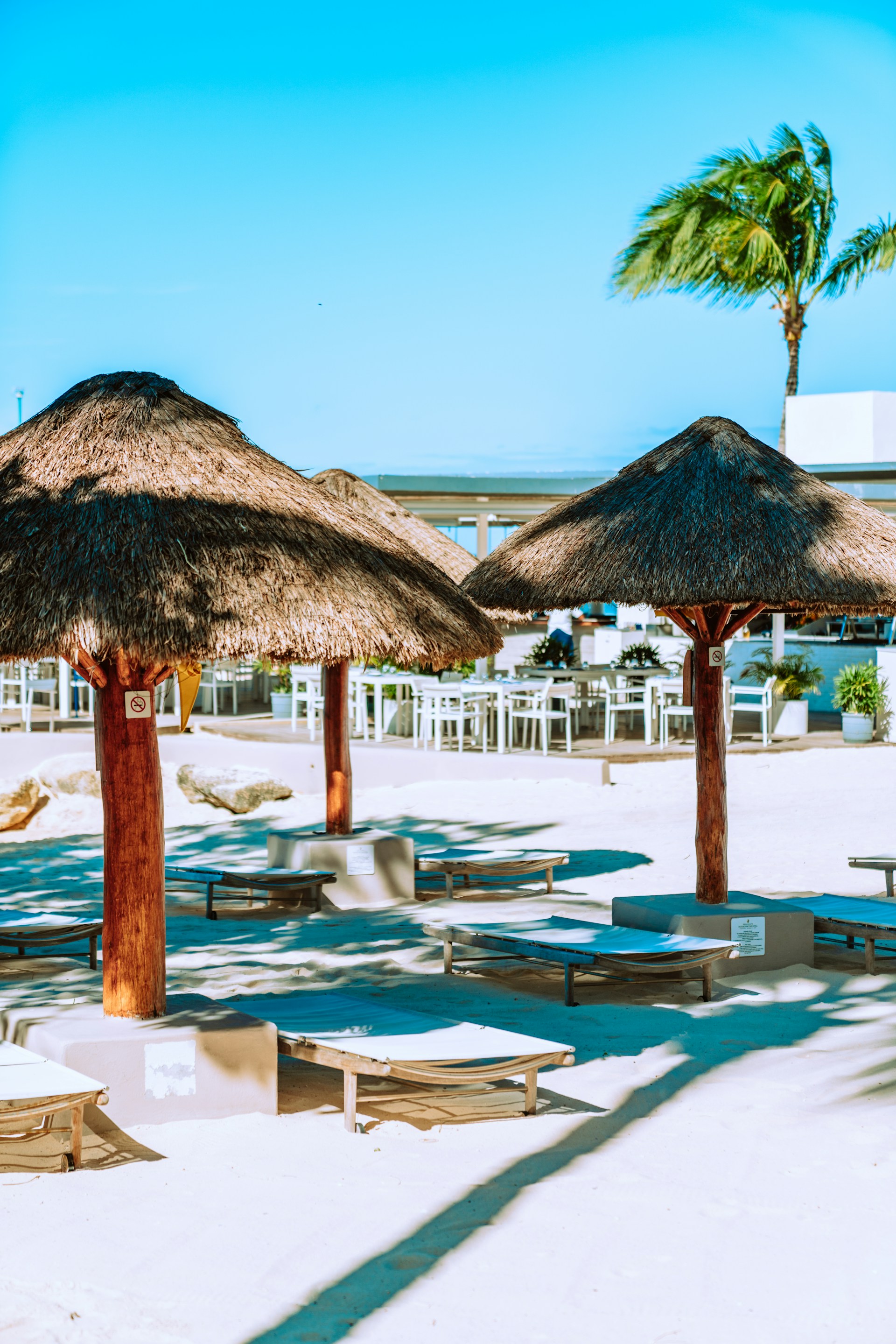 Thatched umbrellas are set up on a sandy beach with lounge chairs beneath them. In the background, there is a wooden bar area with white tables and chairs. A lone palm tree stands tall with its leaves swaying in the breeze against a clear blue sky.