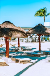 Thatched umbrellas are set up on a sandy beach with lounge chairs beneath them. In the background, there is a wooden bar area with white tables and chairs. A lone palm tree stands tall with its leaves swaying in the breeze against a clear blue sky.