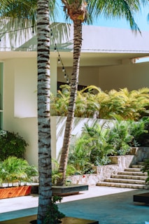 A tropical setting with palm trees and lush green foliage surrounds a modern architectural structure. Stone steps lead up to a section adorned with plants, creating an inviting and serene environment. String lights hang across the scene, adding a decorative touch.