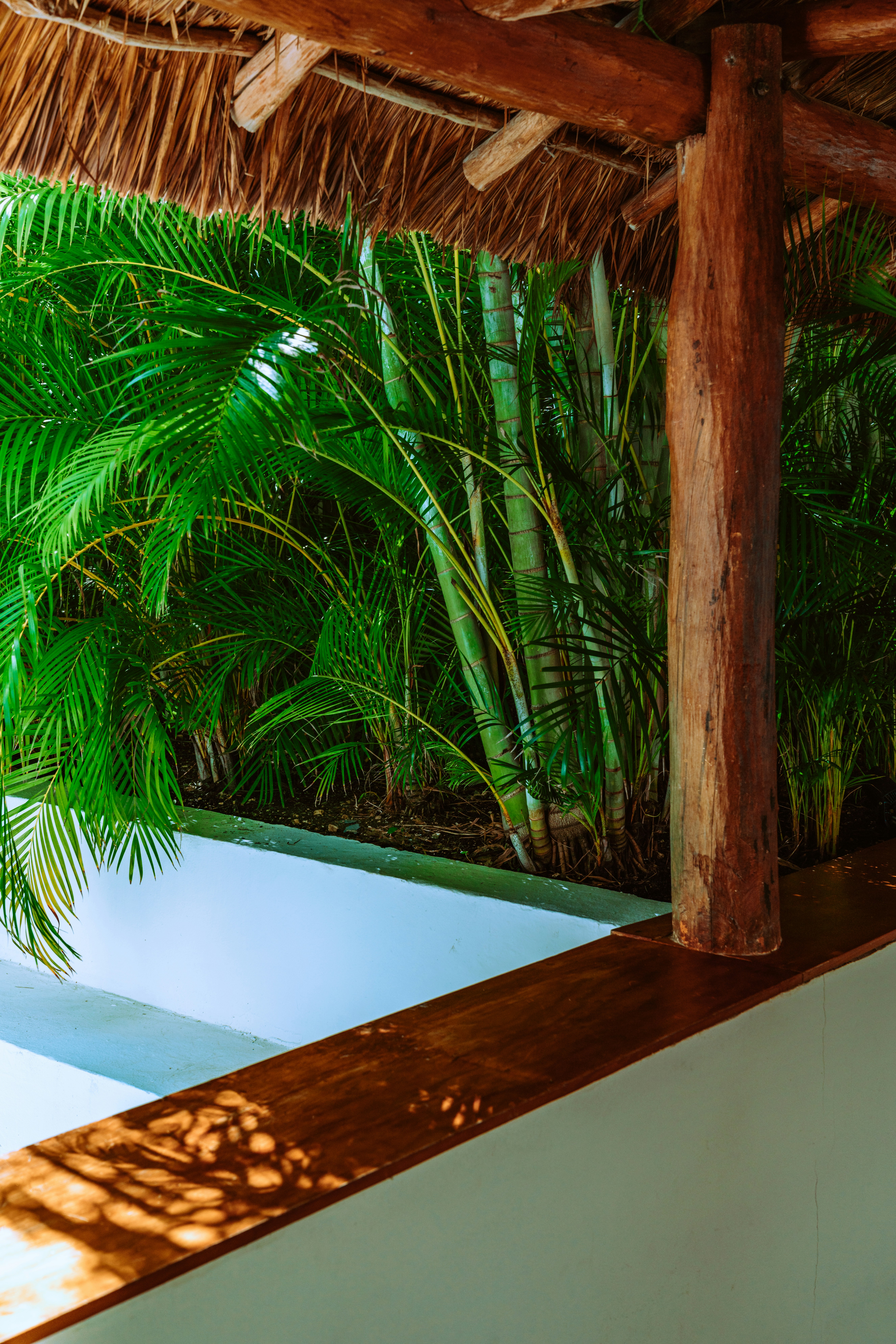 Photo by merittthomas