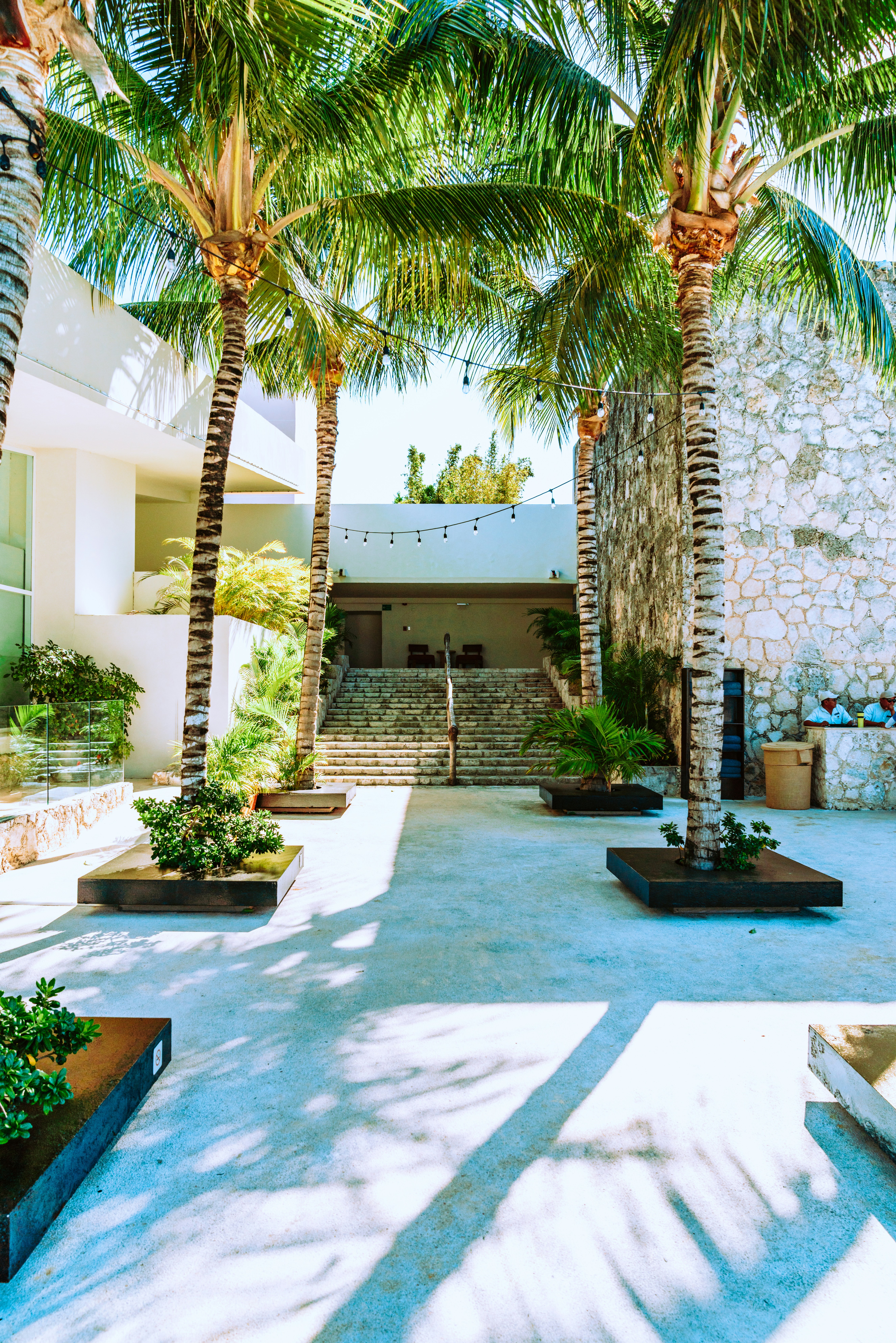 Photo by merittthomas