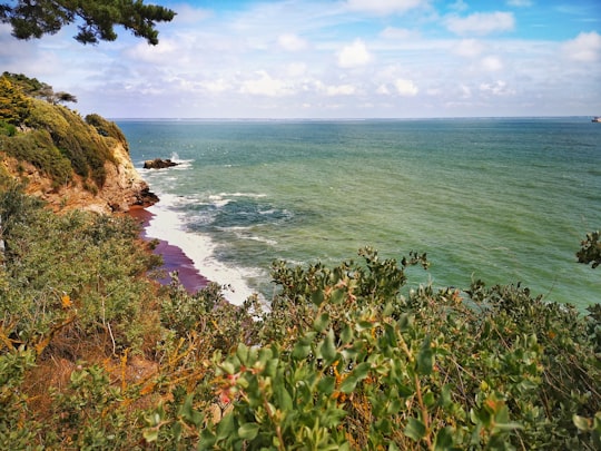 green trees near body of water during daytime in Loire-Atlantique France