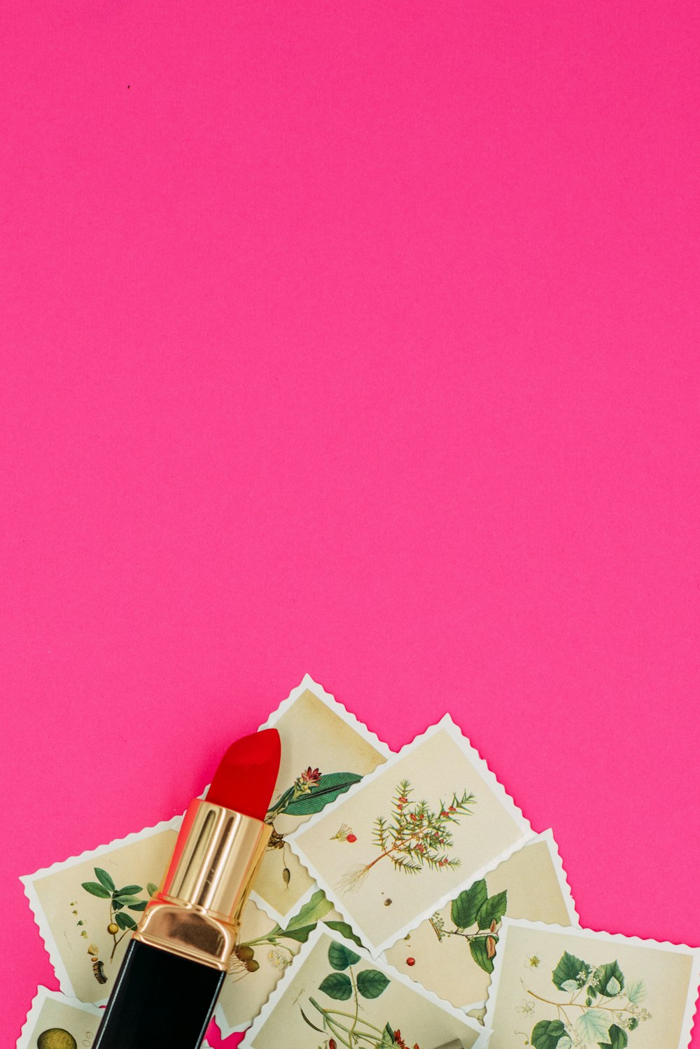 white and pink floral card