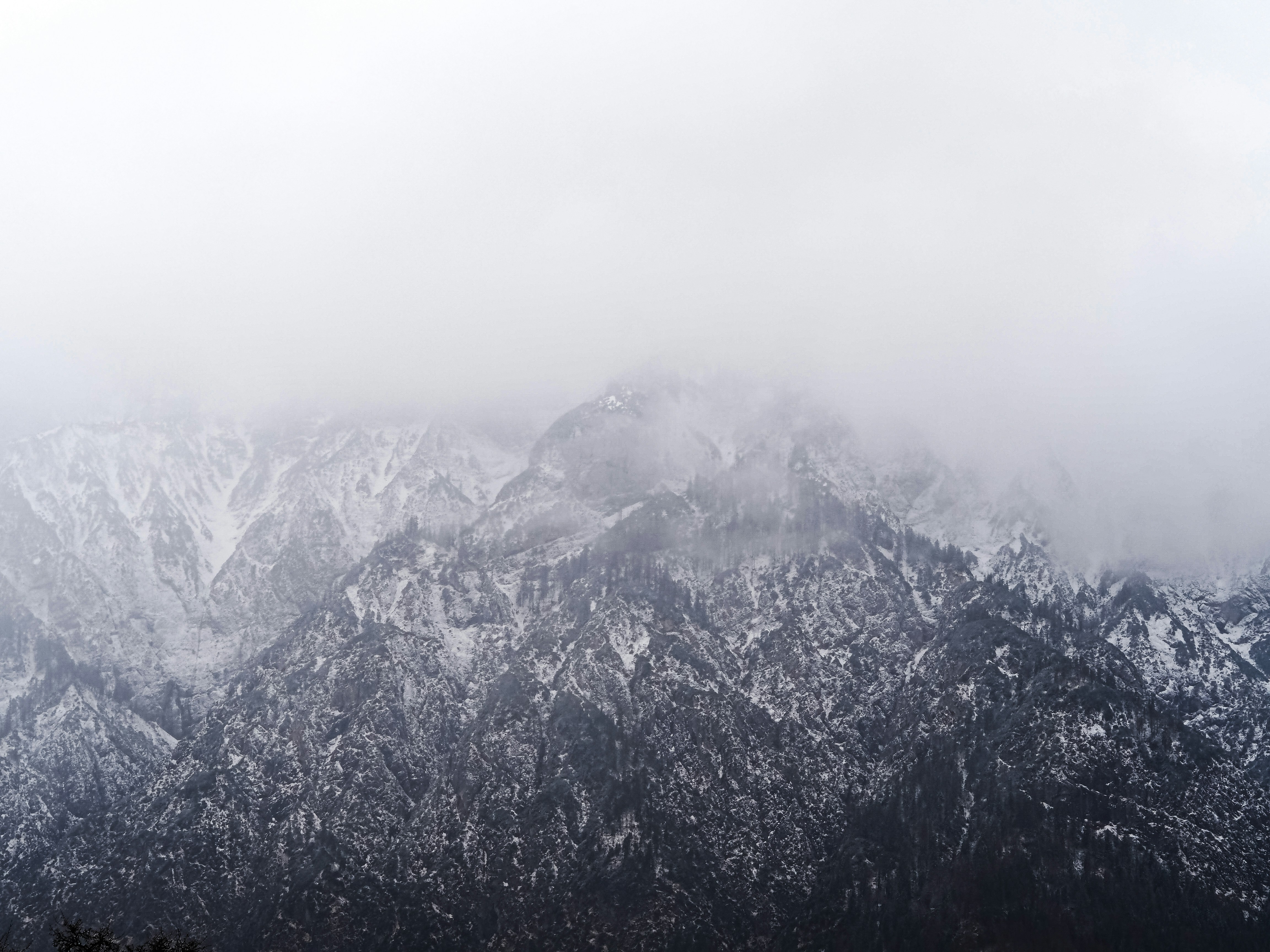 Photo by laurachouette