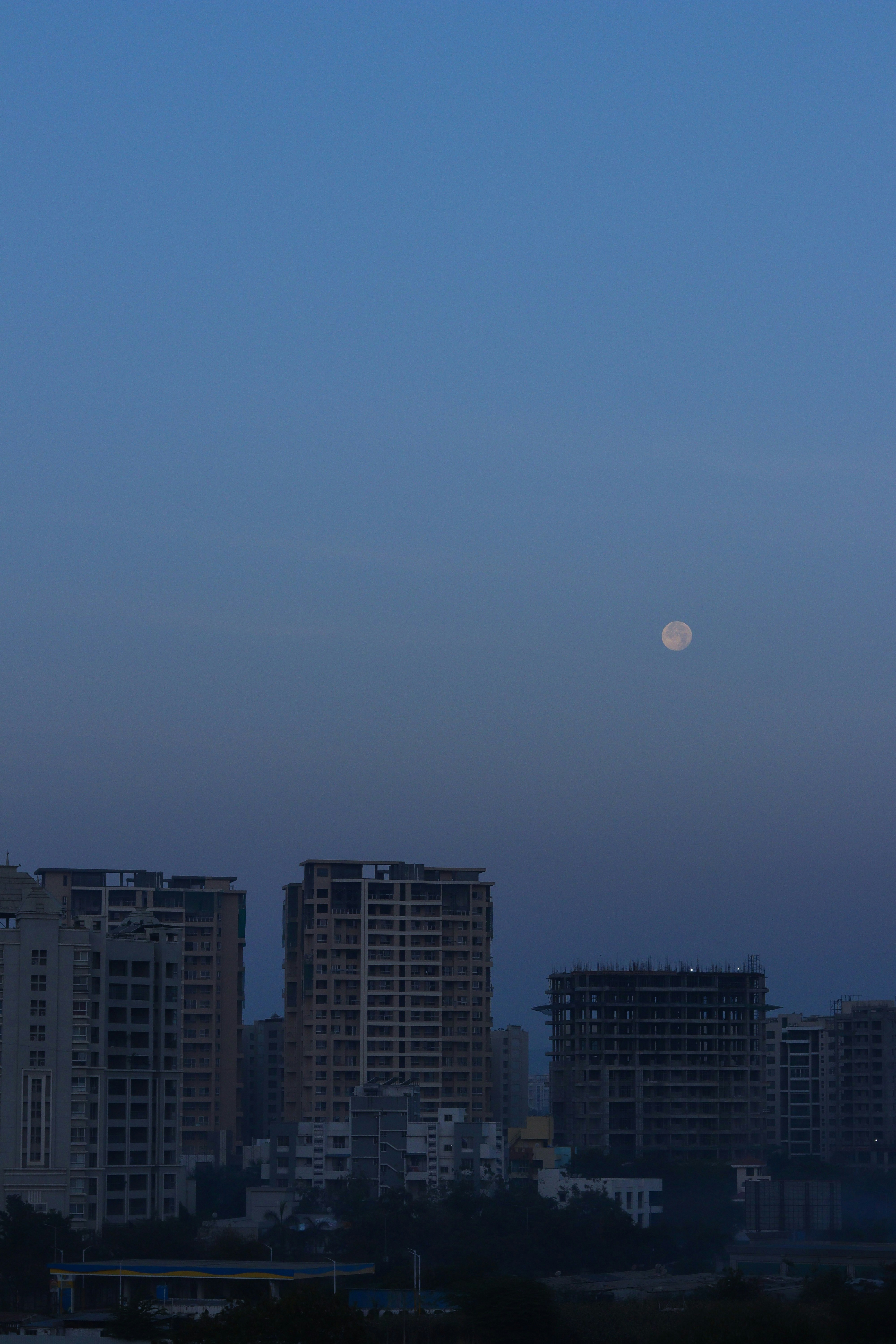 Photo by nisaregaa