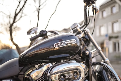 A close-up view of a Harley-Davidson motorcycle with a focus on the fuel tank and engine, set against an urban background with blurred buildings and light peeking through tree branches.