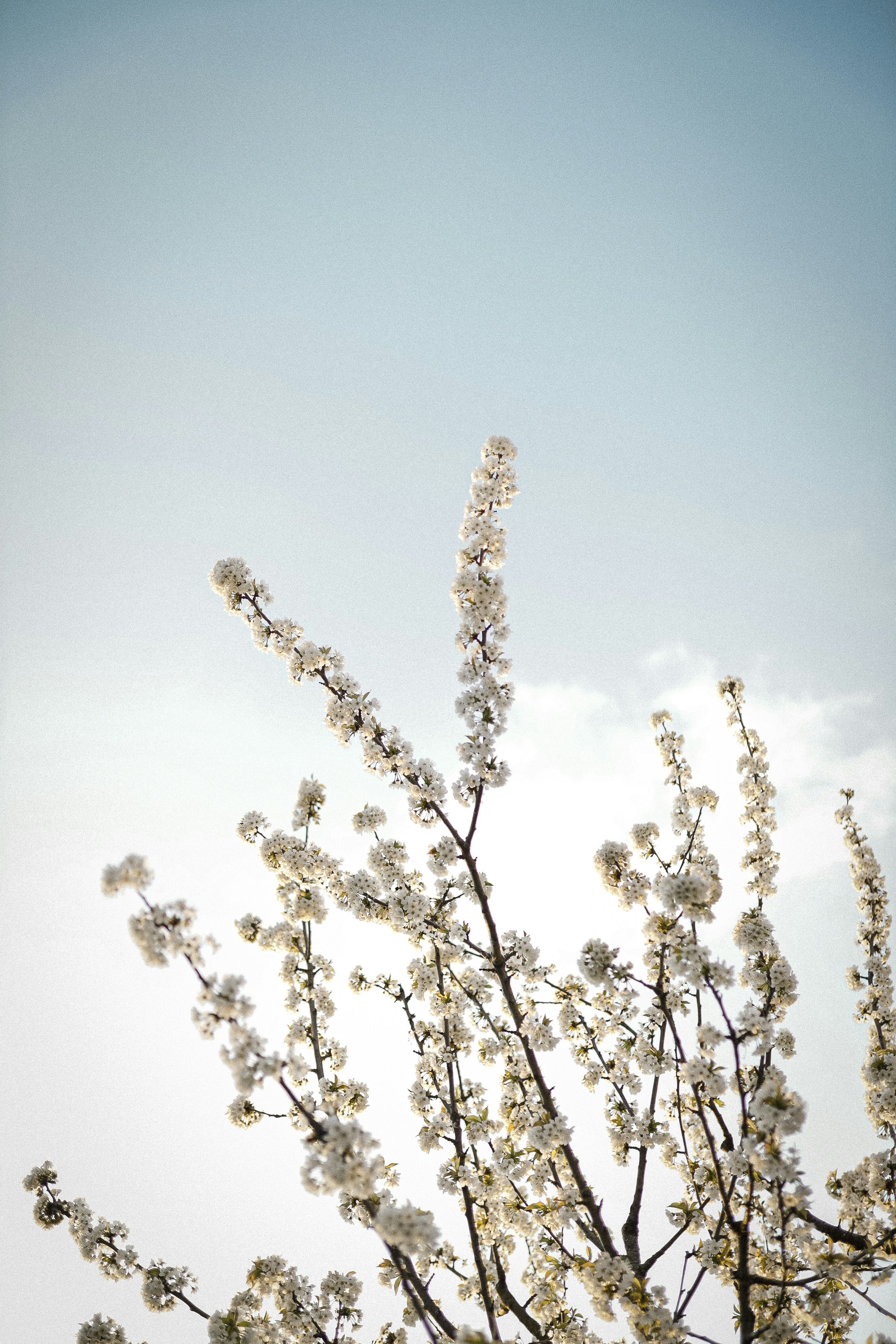 Photo by corina_rainer_