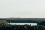A panoramic shot of a serene lake surrounded by dense forest, with hikers nearby.