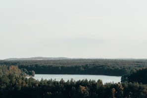 A panoramic shot of a serene lake surrounded by dense forest, with hikers nearby.