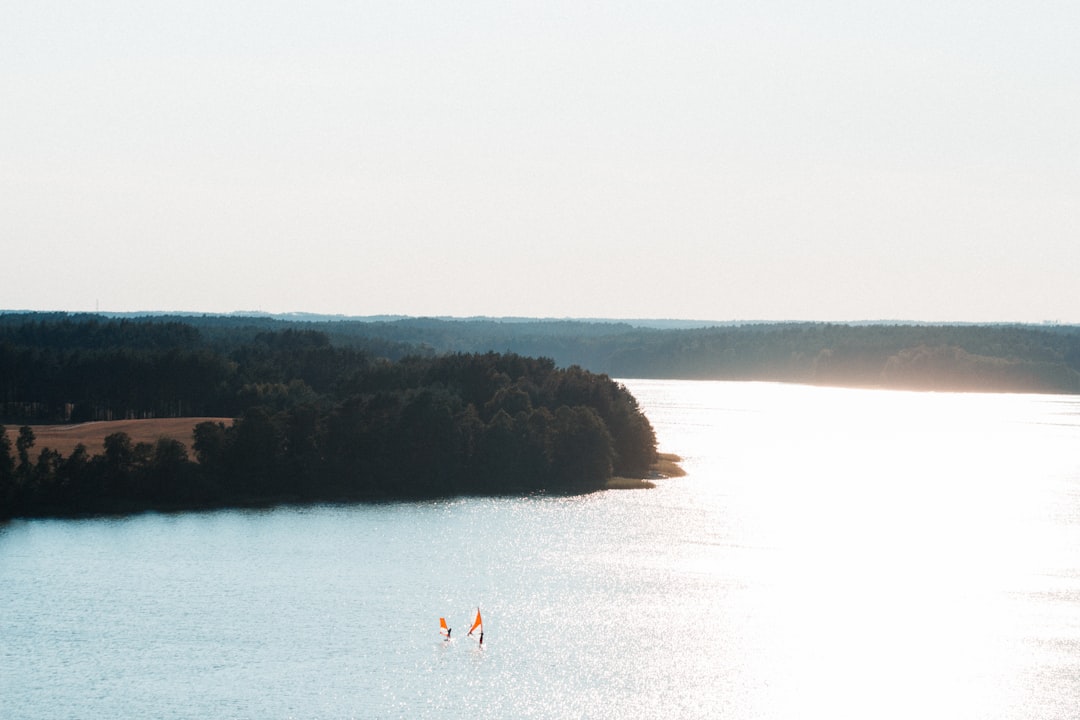 2 people walking on beach during daytime