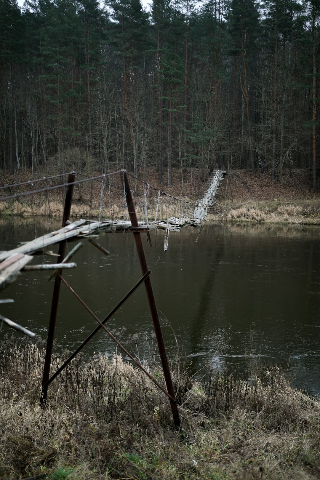 Nature reserve photo spot NemenÄ�inÄ— Lithuania