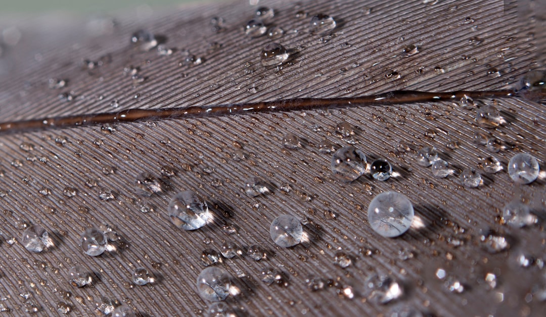 water droplets on brown wooden surface