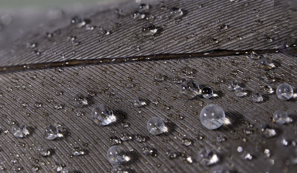 water droplets on brown wooden surface