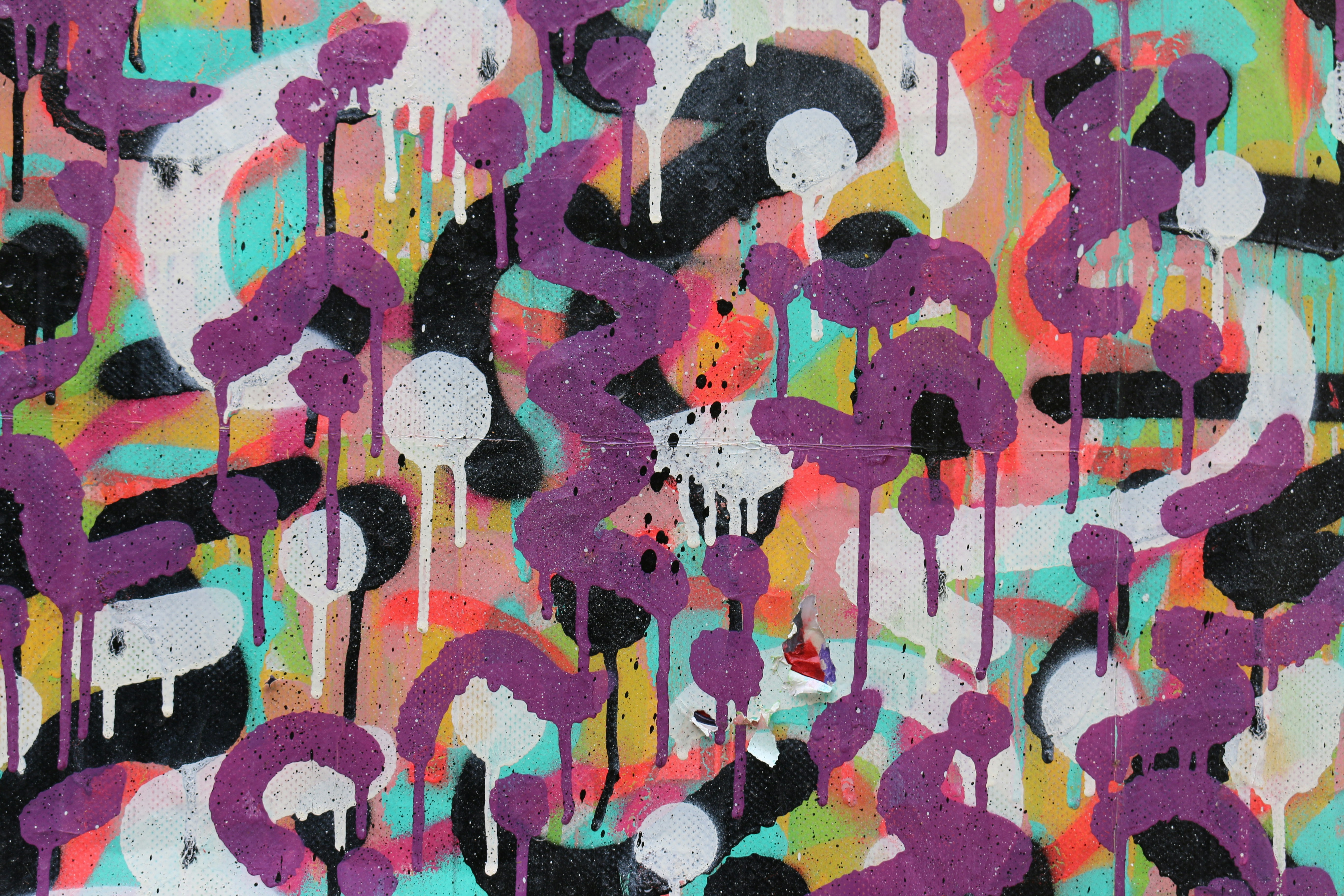 Photo by gareth_david