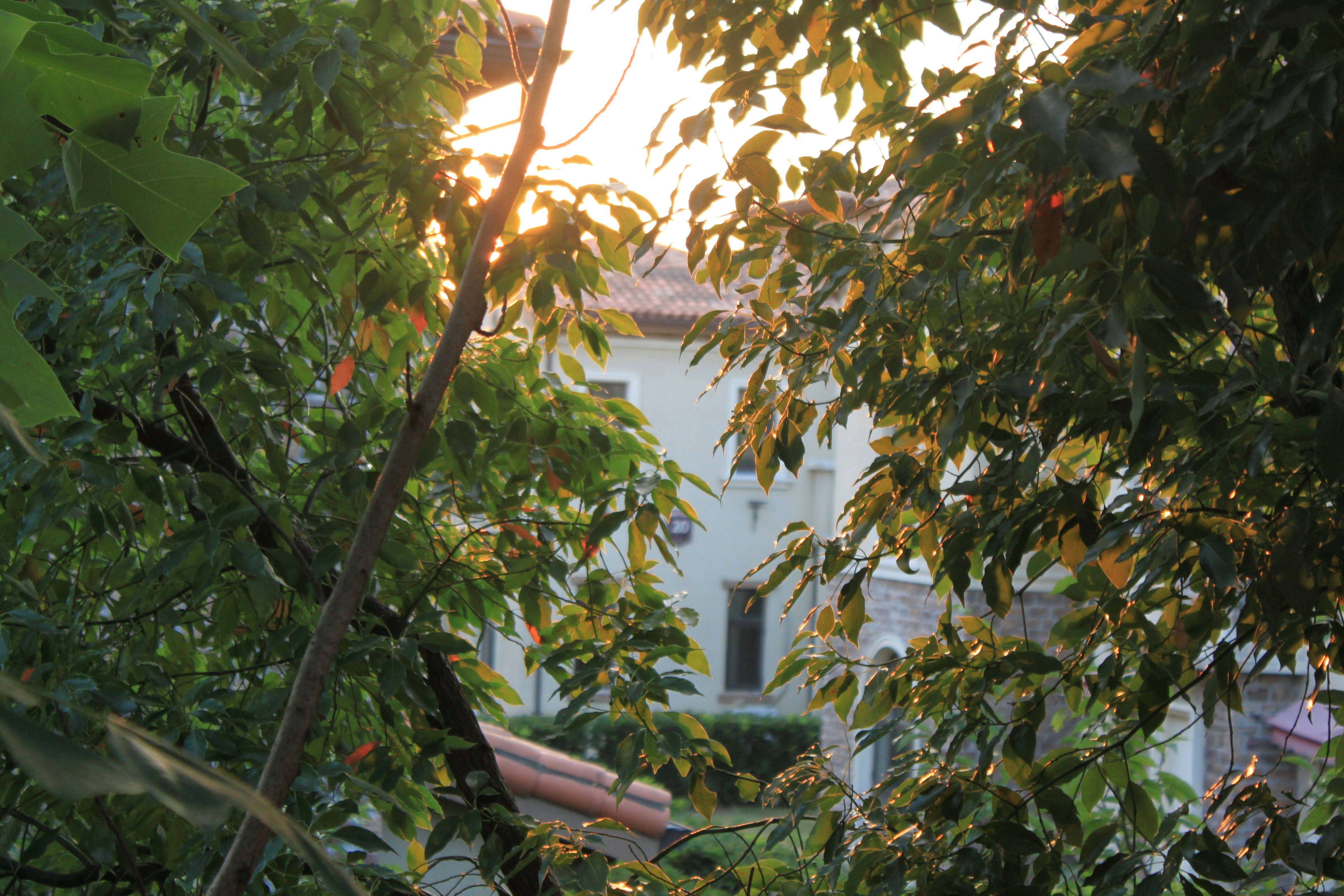 Photo by dinah1mengtx