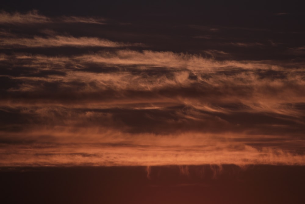 silhouette of trees under cloudy sky during sunset