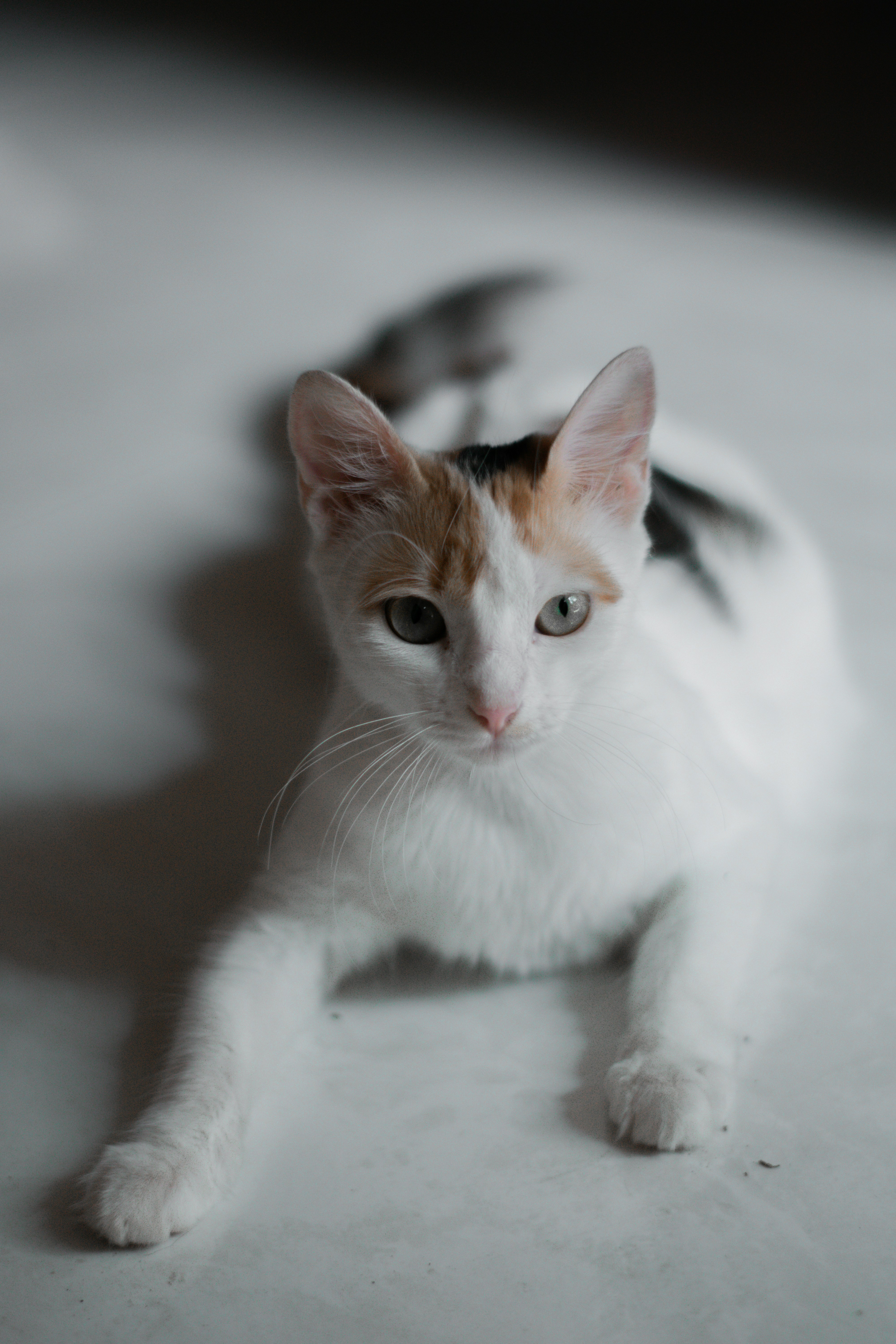 Photo by walther_romero