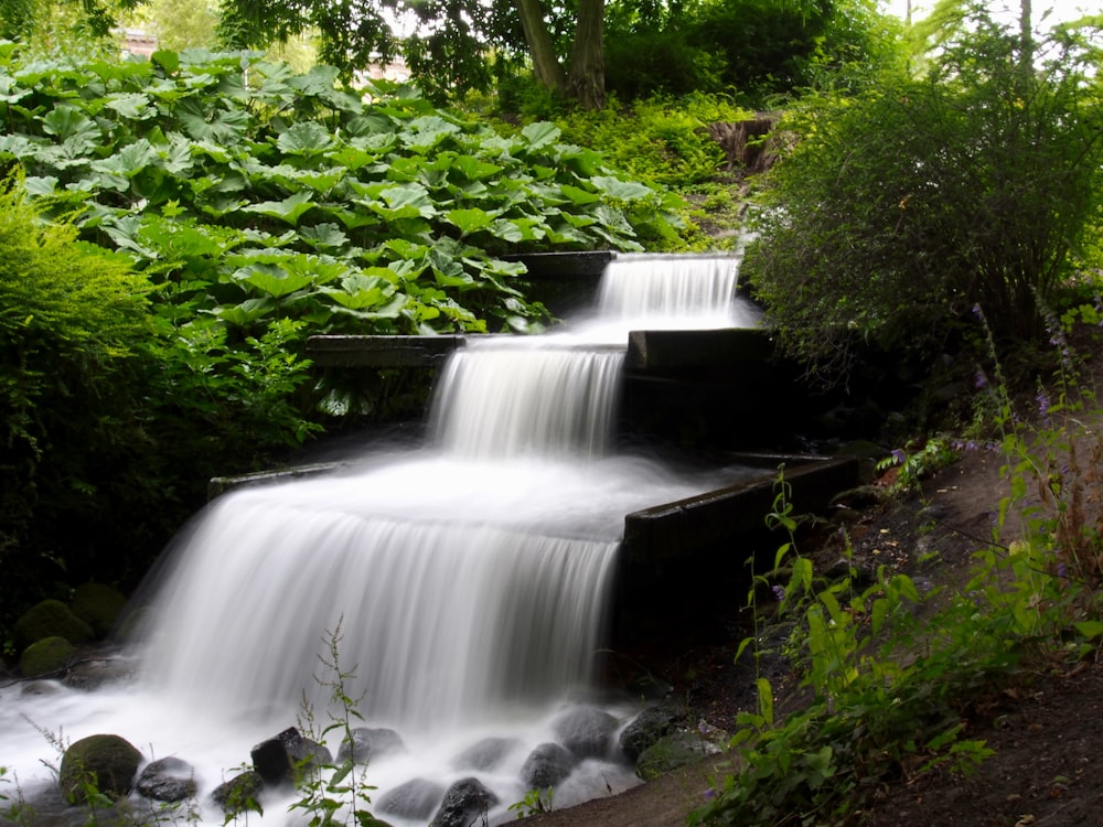 waterfalls in the middle of green trees