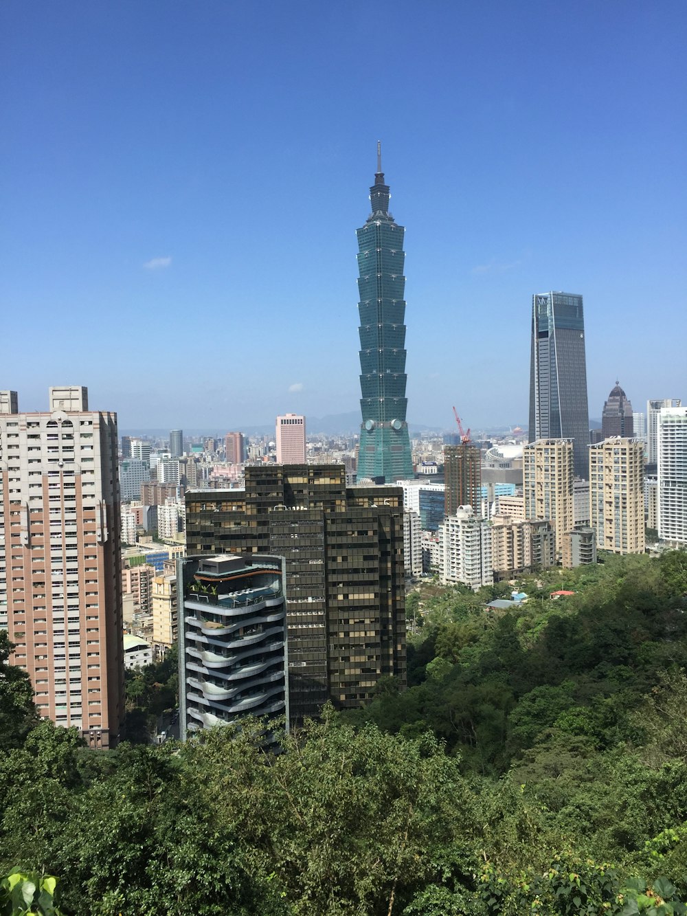 green trees near high rise buildings during daytime