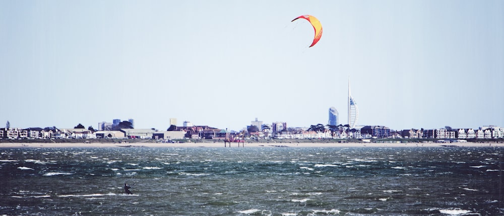 people on beach during daytime