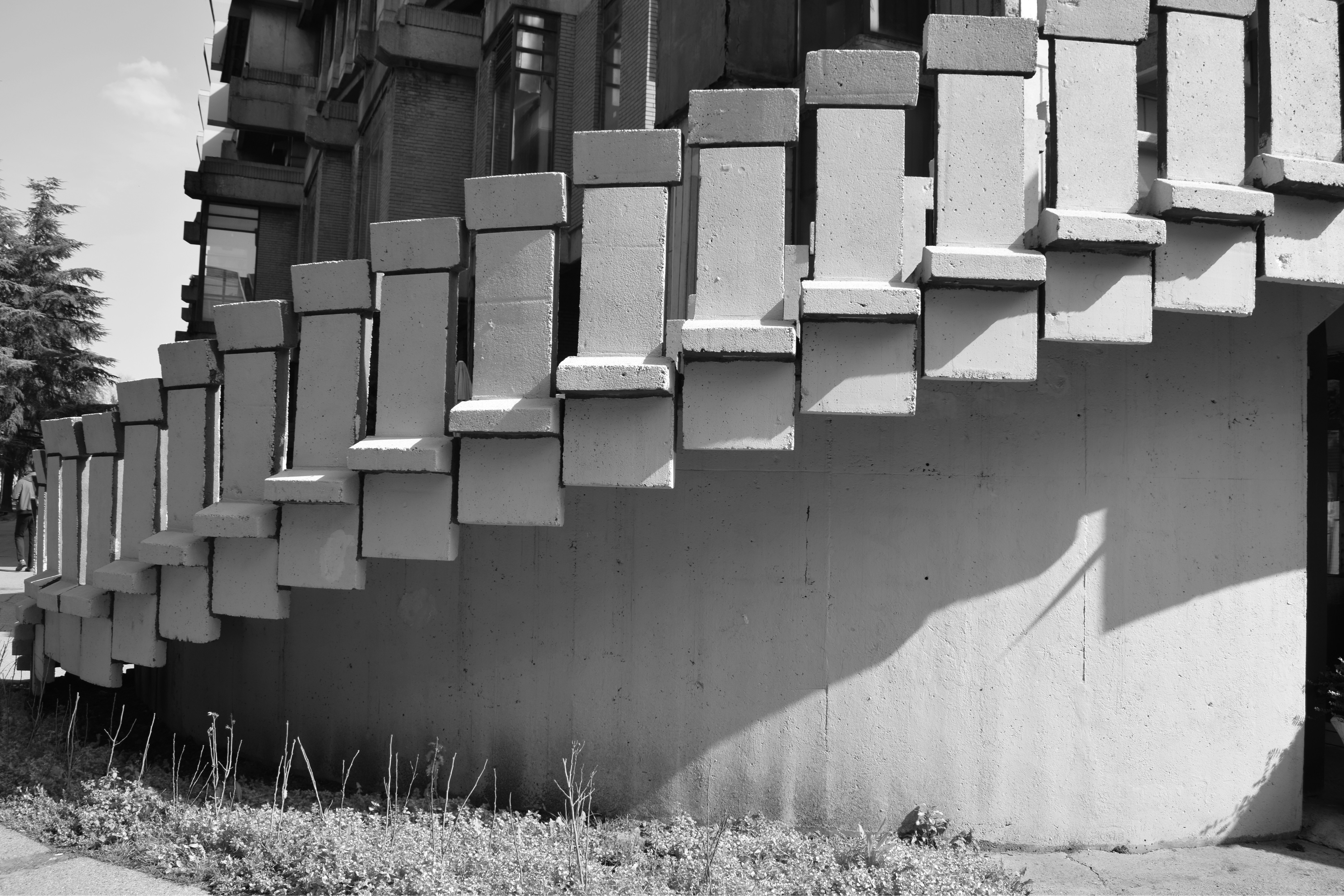 Photo by simplicity