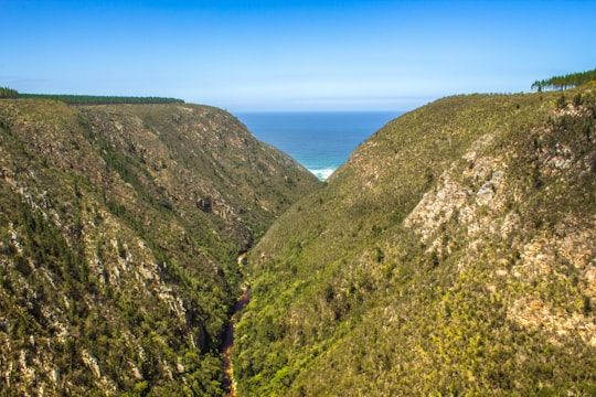 green mountain beside blue sea under blue sky during daytime in Garden Route National Park South Africa