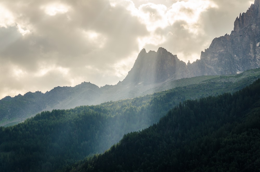 green trees on mountain under white clouds during daytime