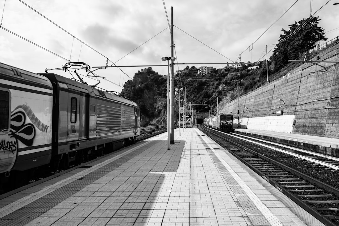 grayscale photo of train station