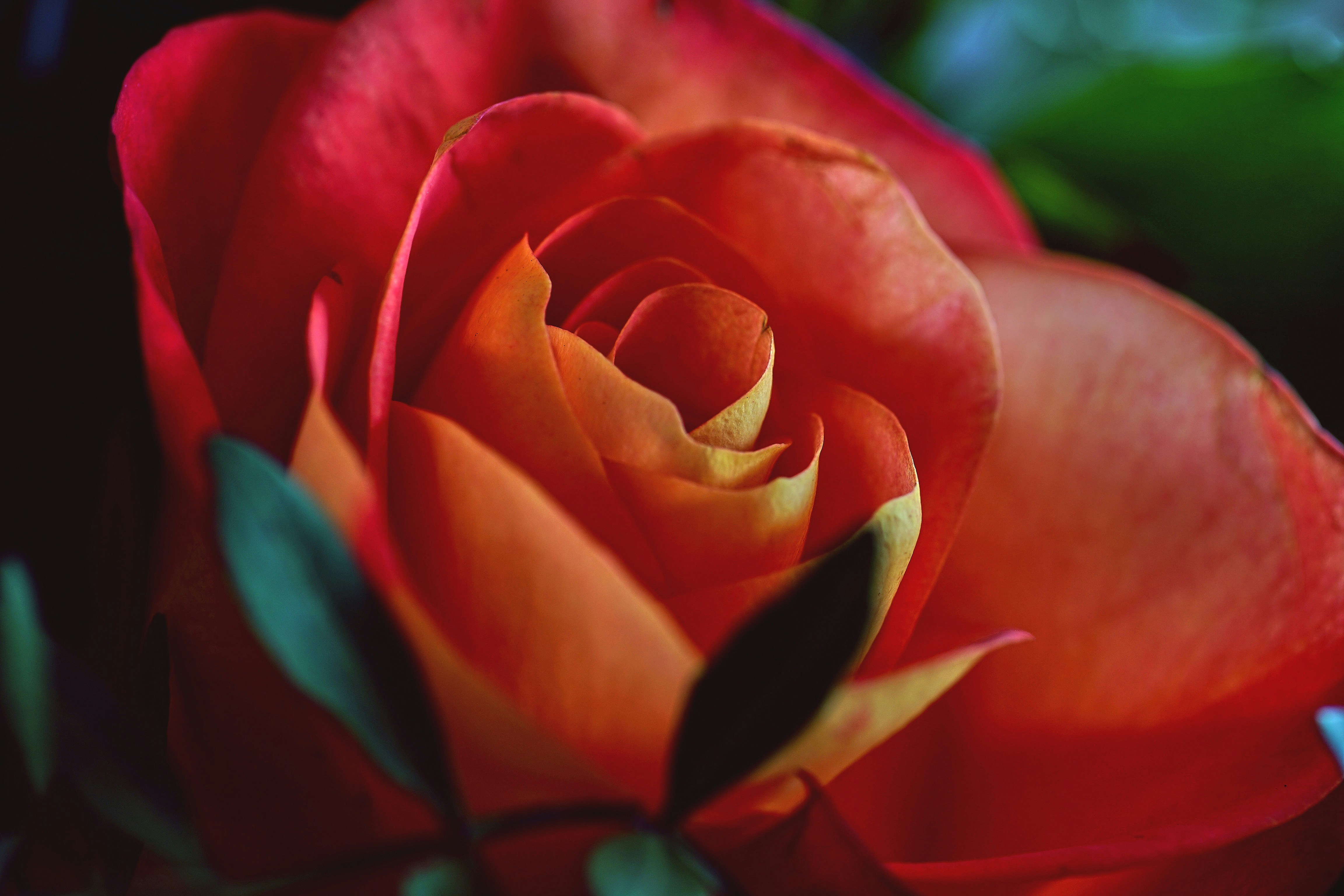 Photo by thomaswolter