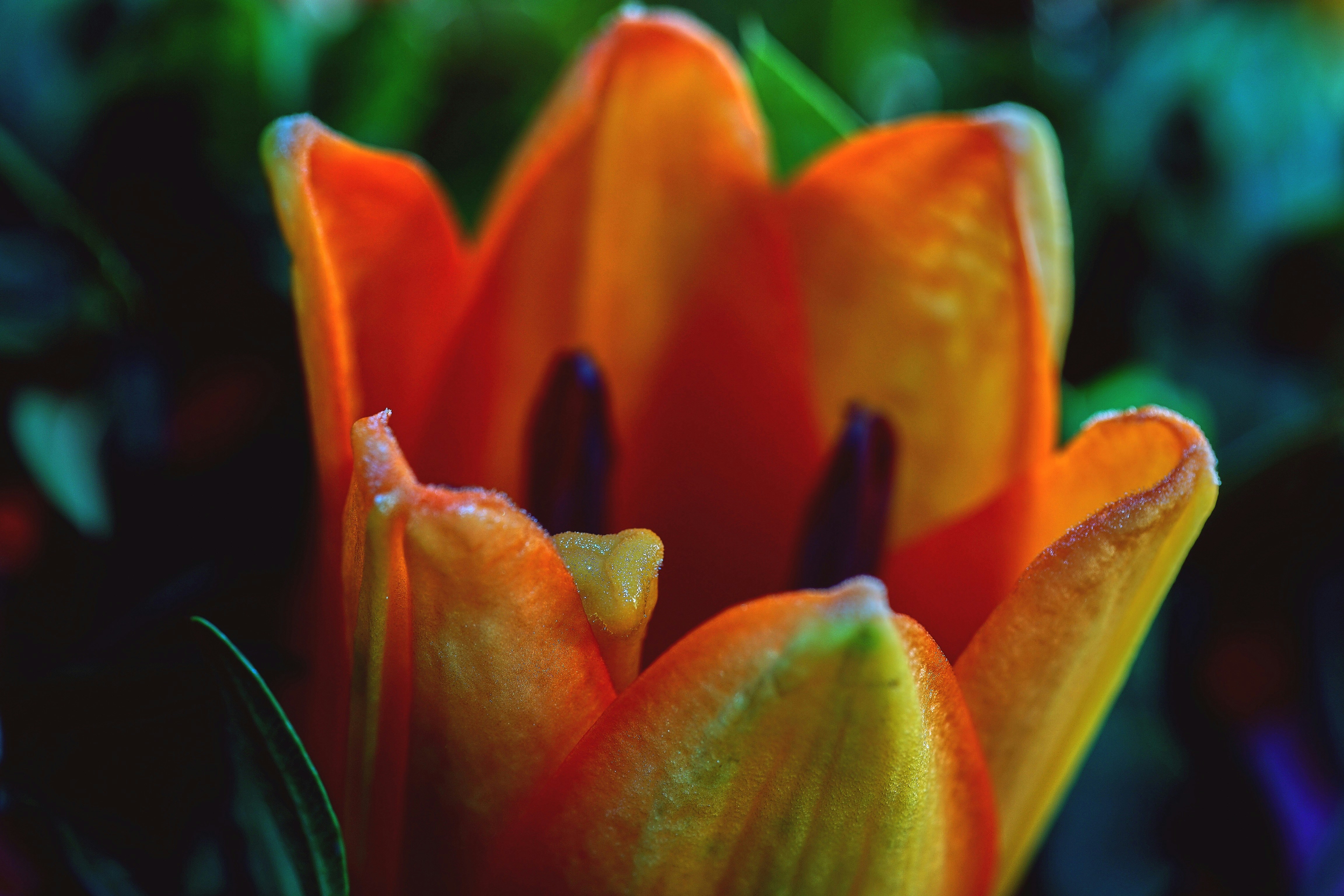 Photo by thomaswolter