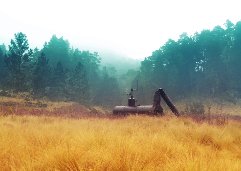 black and brown windmill on brown grass field during daytime