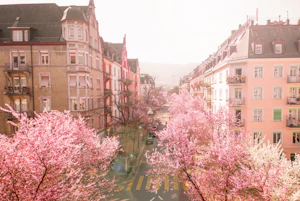 Zurich