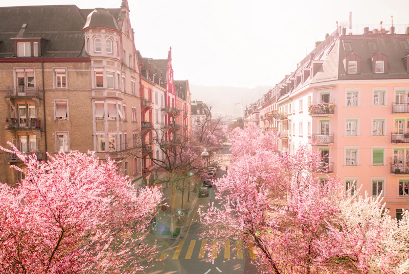 Best Walking Paths and Streets in Zurich to Explore on Foot