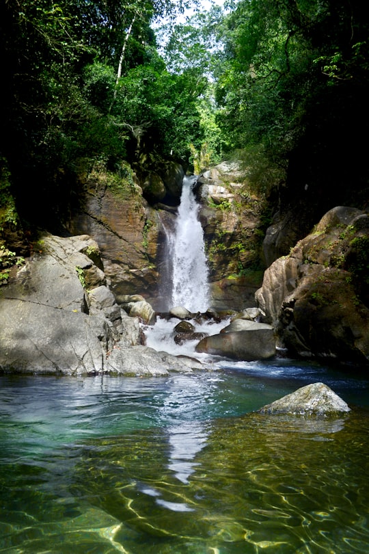 waterfalls in the middle of the forest in Bonao Dominican Republic