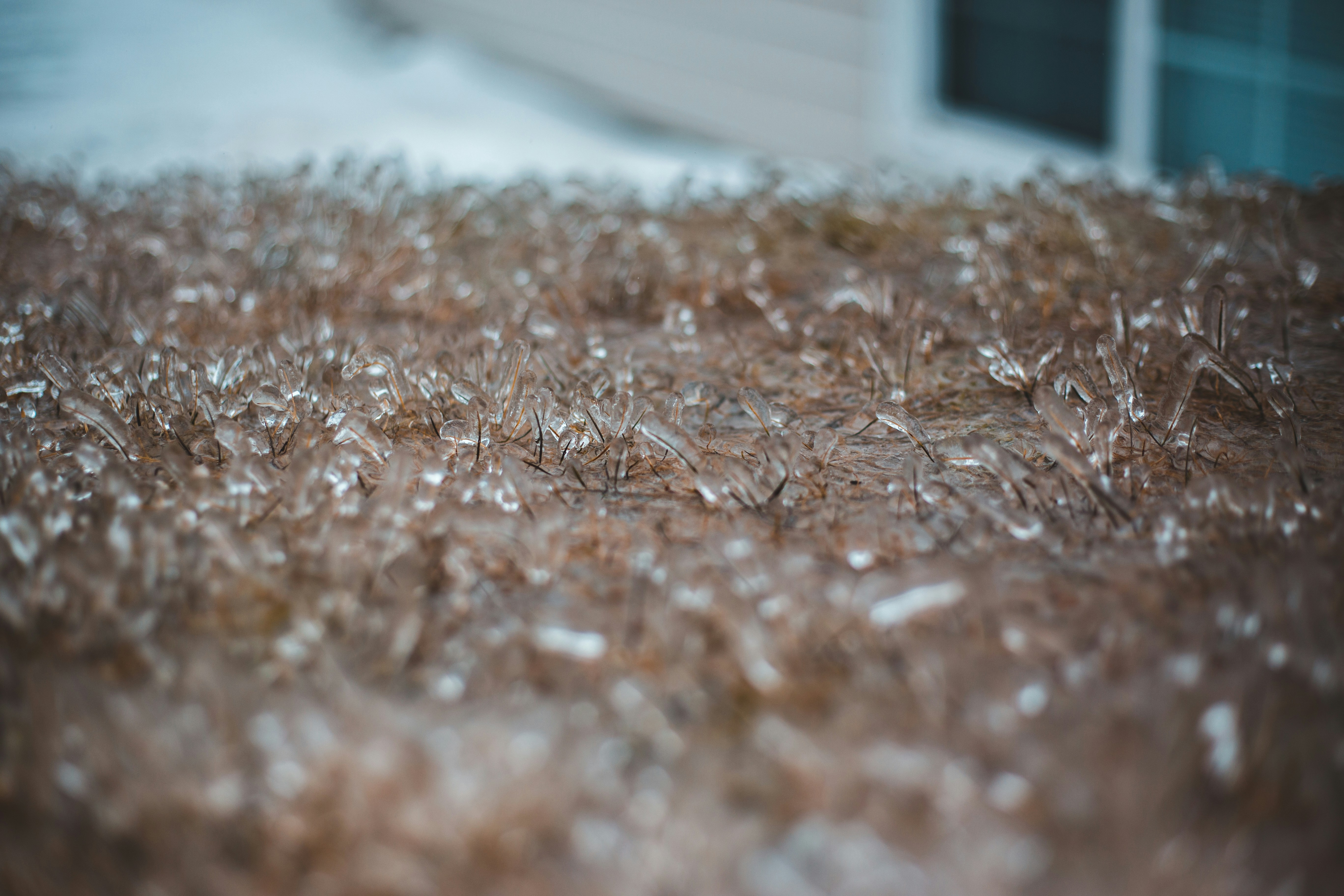 Photo by introspectivedsgn